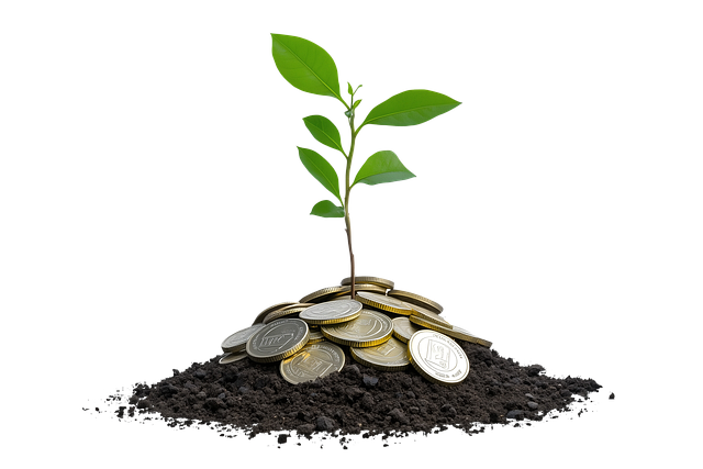 Wie Manager Grüne Finanzstrategien Implementieren Können. Wie Manager Grüne Finanzstrategien Implementieren Können.